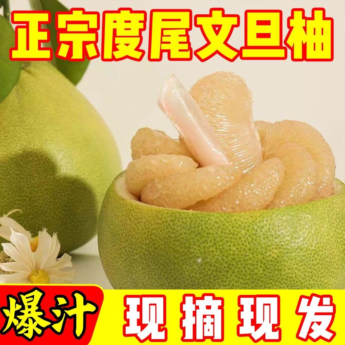 超值正宗文旦柚老树福建仙游度尾文旦柚子现摘有孔好果【芳宝】1