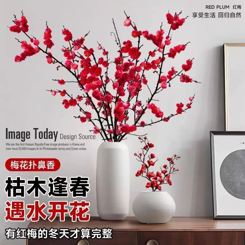 【遇水开花】新年装饰梅花枝遇水开花梅干枝年宵花卉冬季室内水培