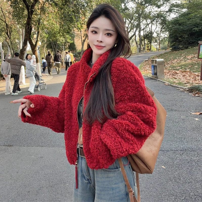 韩系毛绒短款外套女冬季新款高端气质立领宽松小个子加厚百搭上衣