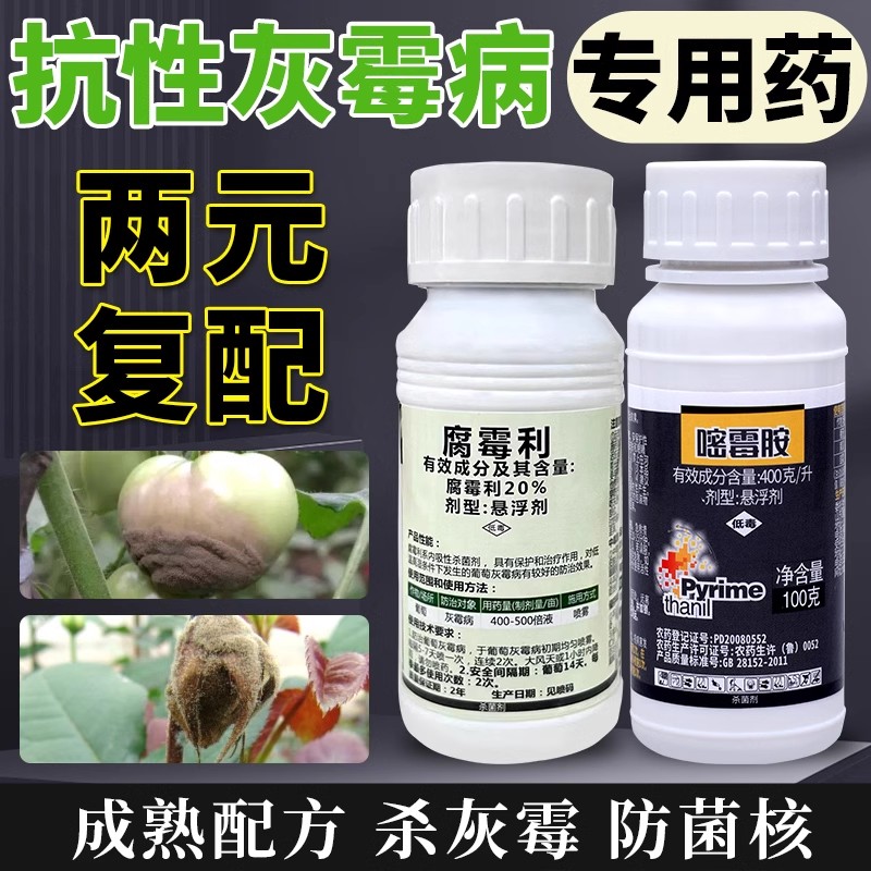 抗性灰霉病组合腐霉利嘧霉胺番茄葡萄辣椒白菜油菜菌核病杀菌剂