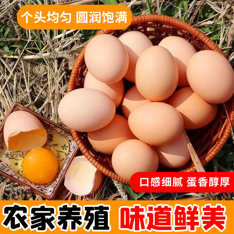 石榴园散养新鲜正宗土鸡蛋40枚山林纯五谷喂养买菜营养丰富40枚