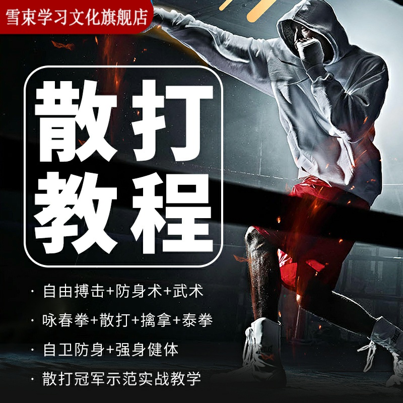 武术视频教程强身健体咏春拳散打太极拳跆拳道泰拳防身术入门教学