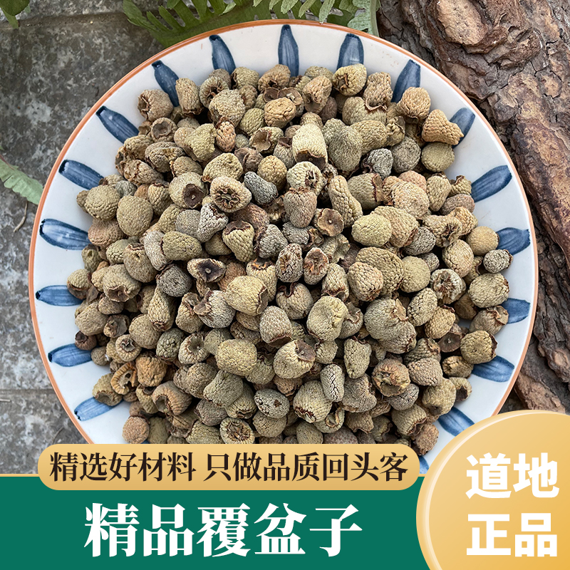 掌叶覆盆子正品覆盆子泡水茶干覆盘复盆子粉新鲜