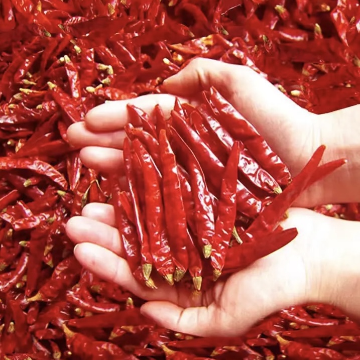 自种优质干红辣椒 餐饮调味 农副产品 生鲜蔬菜