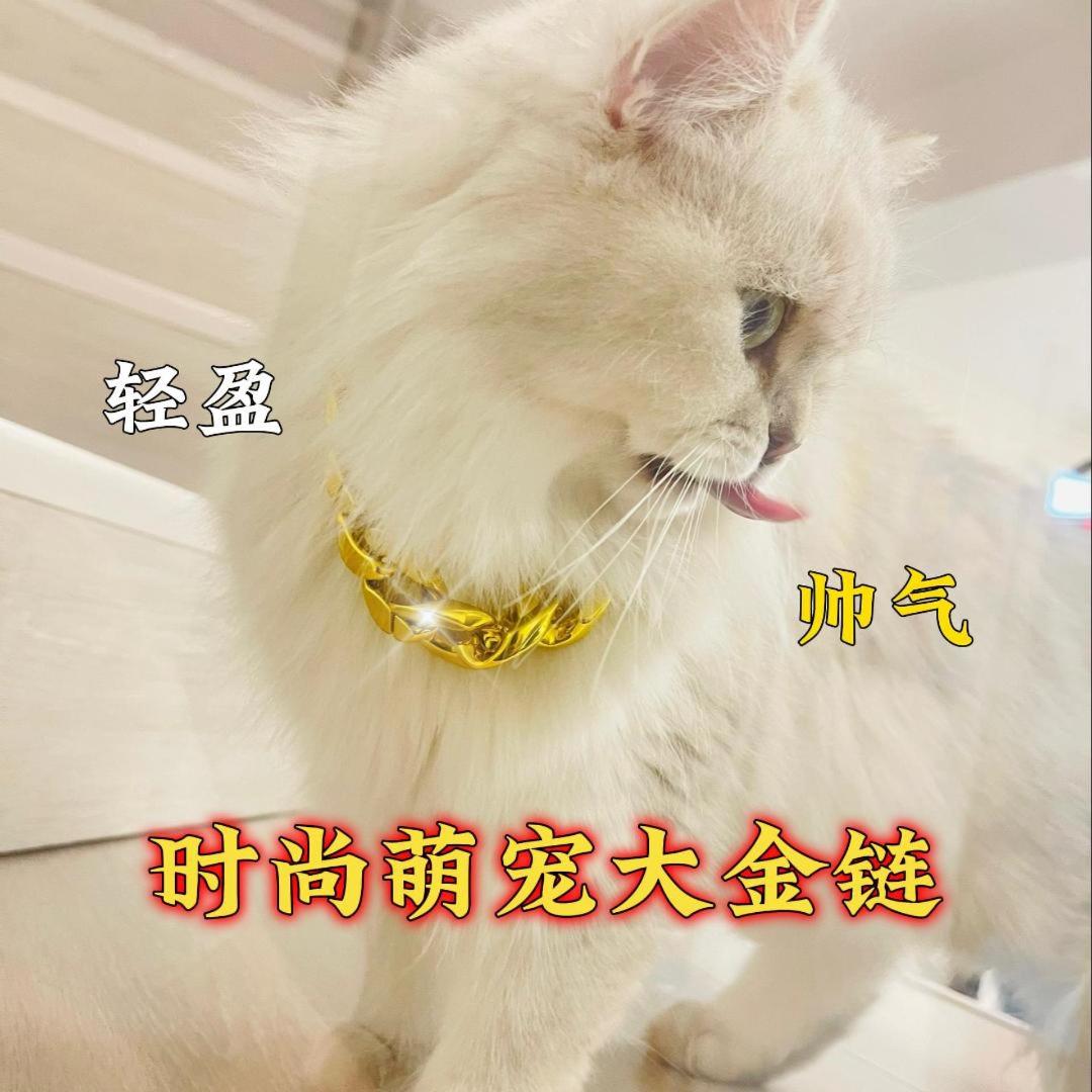 宠物项链塑料仿真大金链子轻盈不压脖时尚帅气柯基泰迪猫咪项链