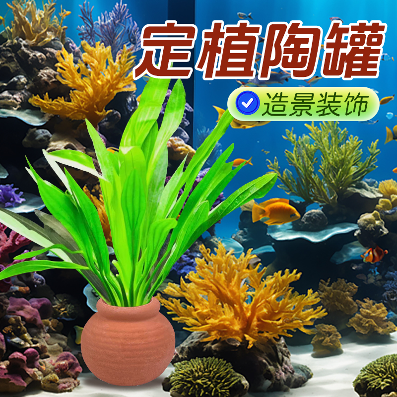 【宠大条】陶罐固定水草用鱼缸造景摆件水草定植陶罐水草沉底环新手