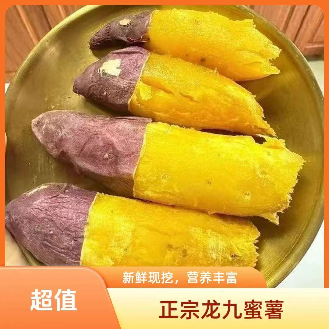 湖北正宗龙九新鲜现挖买3斤送2斤到手五斤榴莲蜜薯红烤后软糯香甜