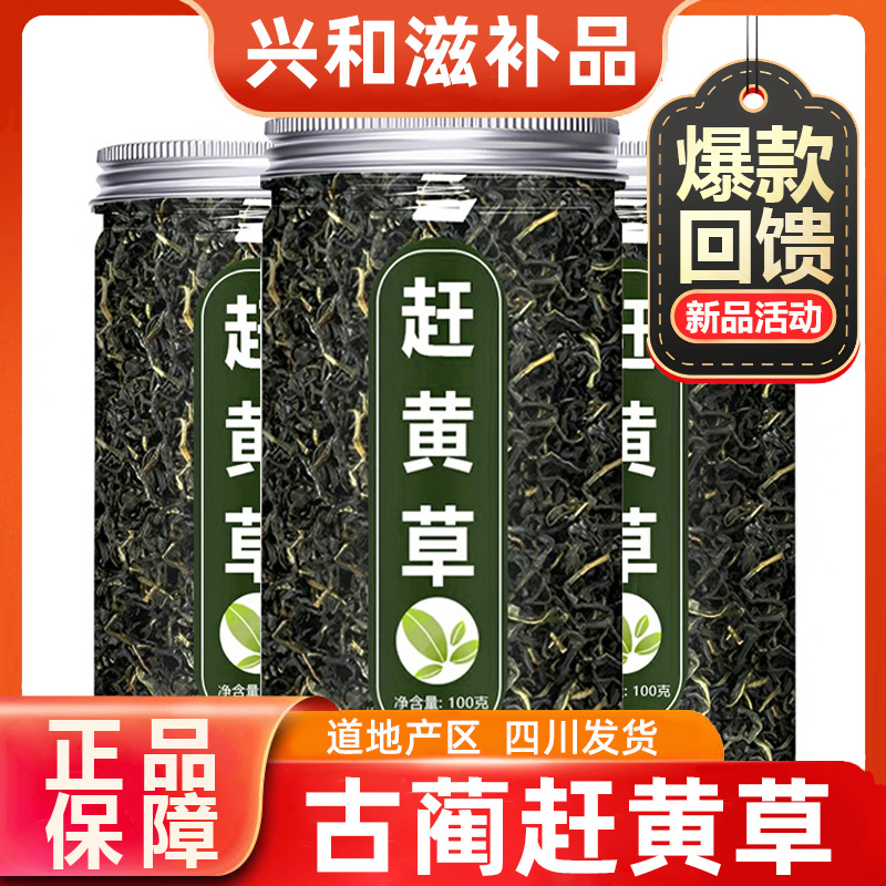 【正品】正宗四川古蔺赶黄草茶头茬干货无提取无硫煮水泡水喝决明子