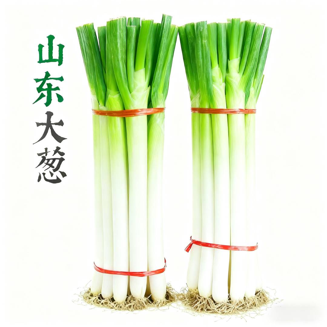 【进出级精品葱】山东铁杆大葱现挖现发新鲜大葱生鲜蔬菜长葱白去皮