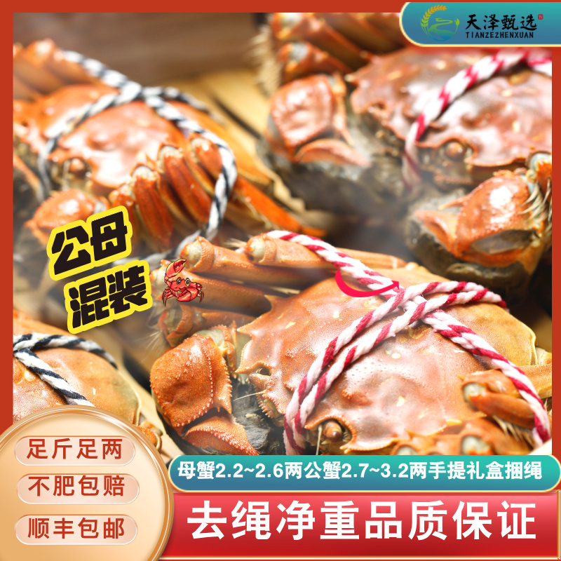 【巨无霸】母蟹2.2~2.6两/公蟹2.7~3.2两10/16只装香草捆绳礼盒装