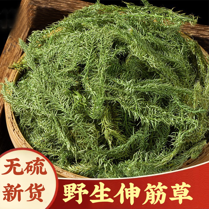 【伸筋草】野生伸筋草250g益智仁伸筋草透骨草金钱草无硫枸杞泡水