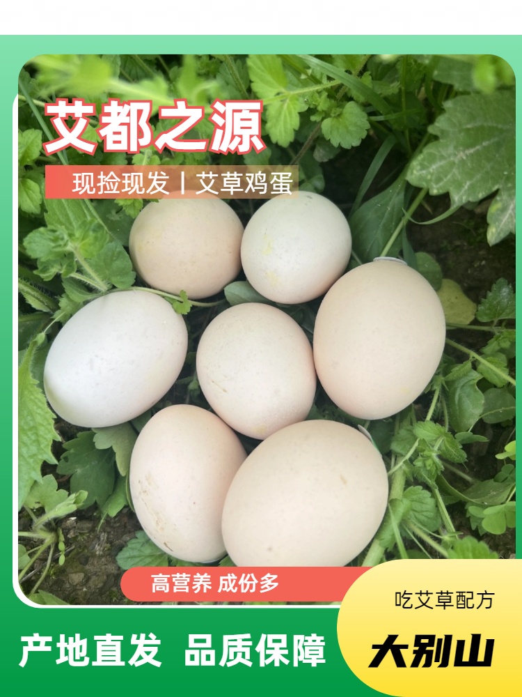 [艾都之源]正宗艾草地农家散养蕲艾产地富硒鸡蛋30枚营养蛋可生食