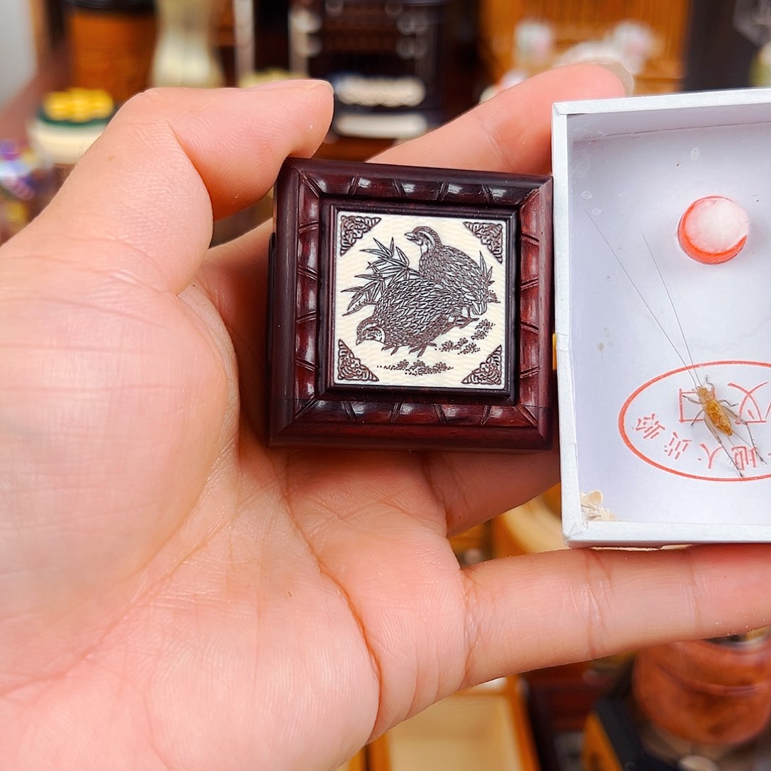 竹福利款老红木麻将块黄蛉盒➕大黄蛉