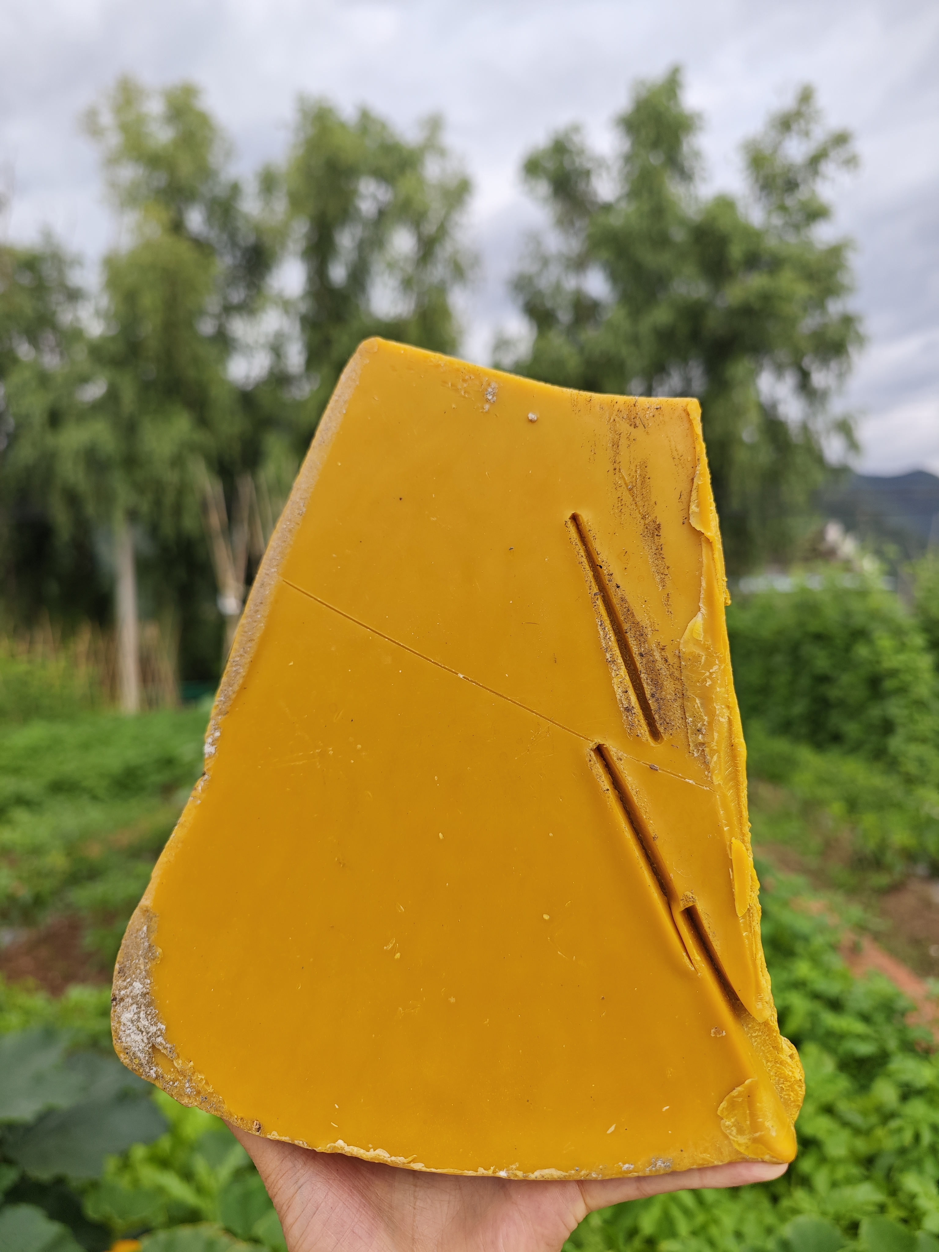 纯天然中蜂诱蜂蜡老巢脾蜡优质原生态招蜂专用蜂蜡