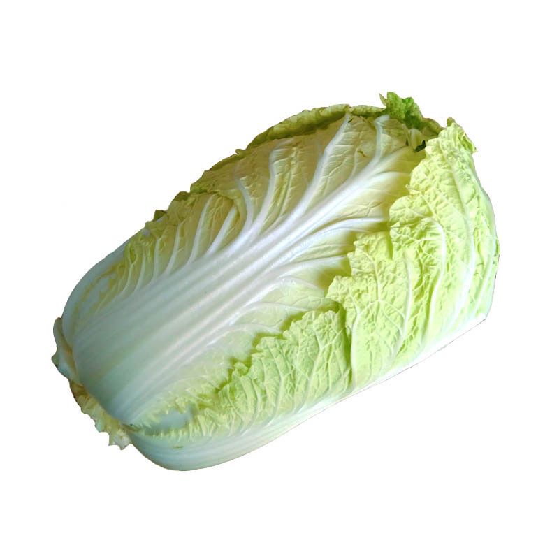河南农家自种霜打大白菜青菜绿叶菜白菜新鲜软叶白菜新鲜白菜