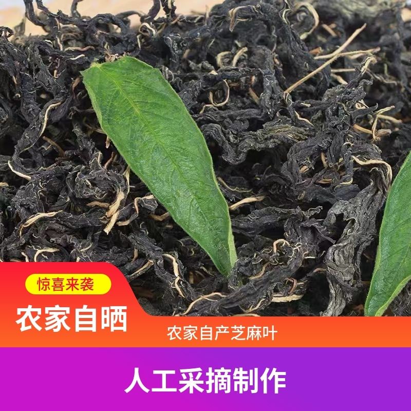 自然晒干精选干芝麻叶河南南阳农家特产自晒干芝麻叶