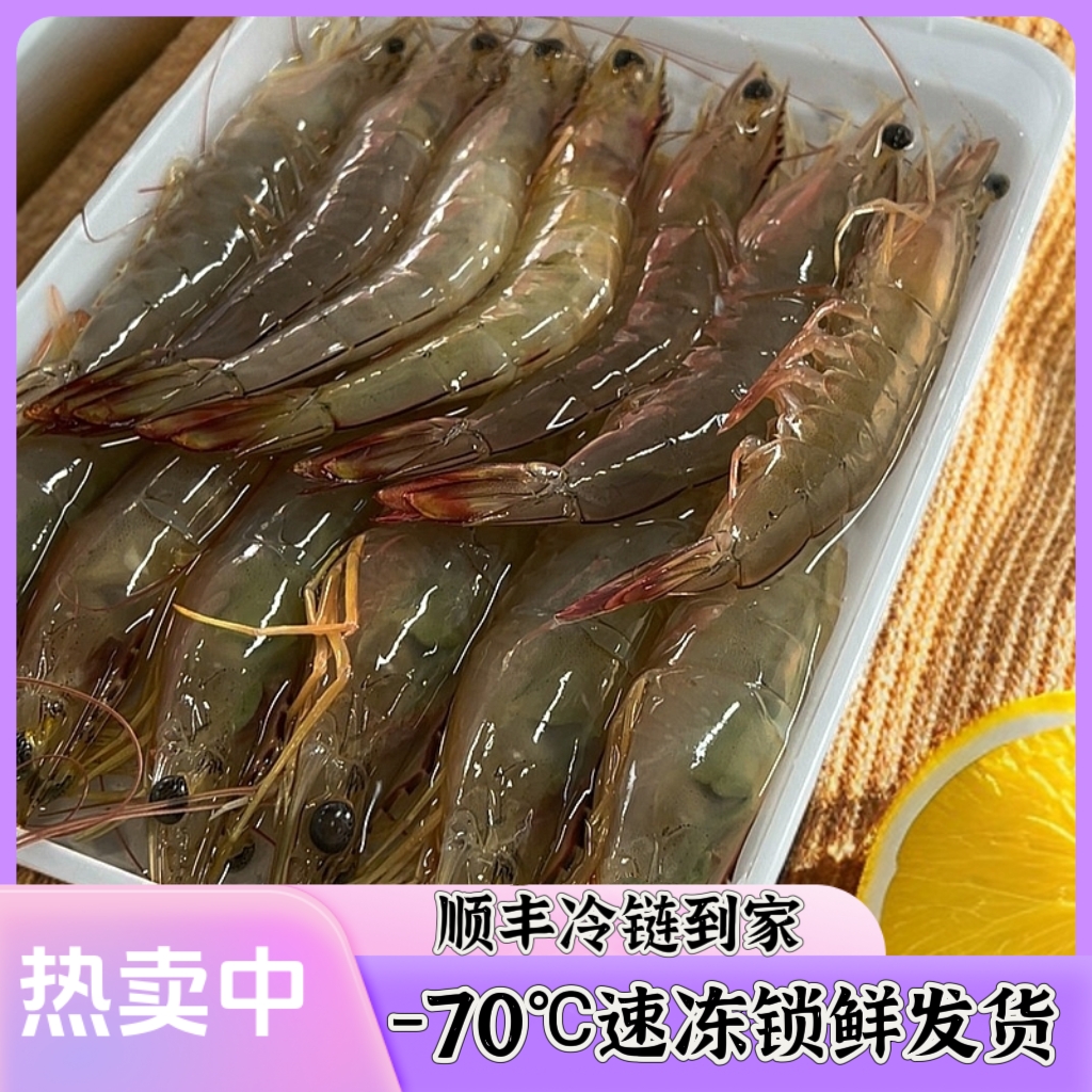 【头姐】北海码头野生大明虾速冻发货（图片仅供参考，请以实物为准）