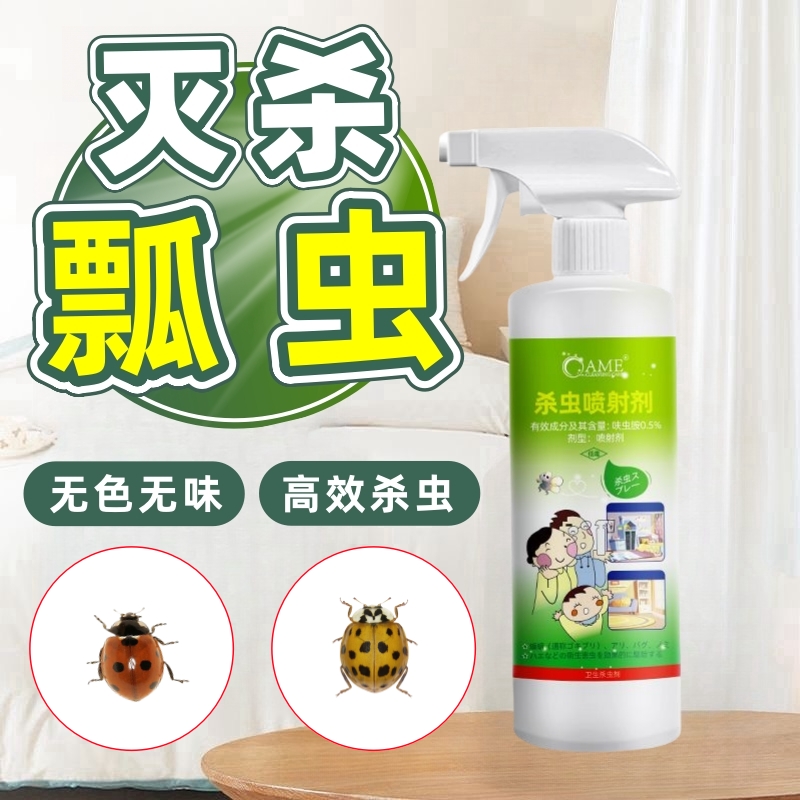 七星瓢虫杀虫喷射剂灭杀花大姐杀虫剂防瓢虫药剂室内通用无色无味