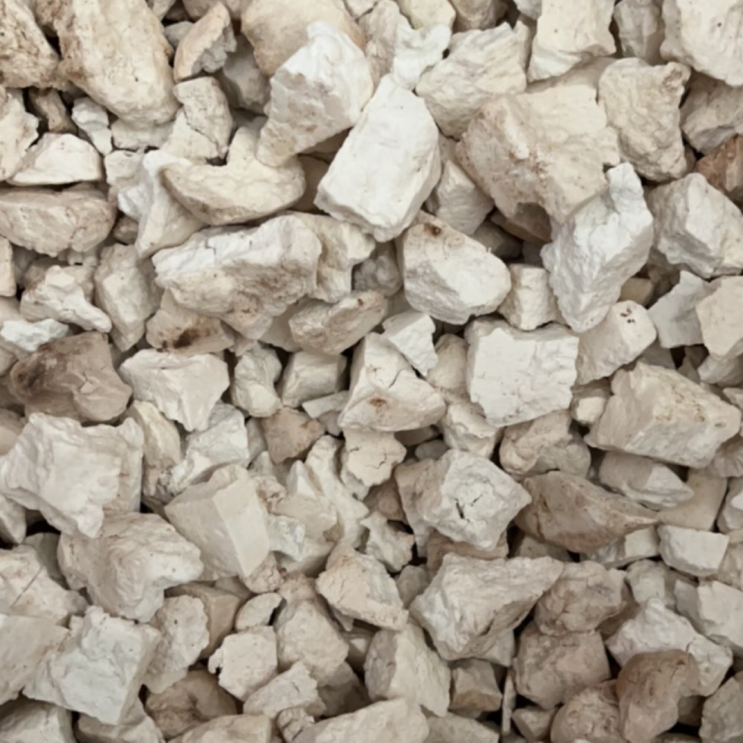 甘肃高原干货老～茯苓