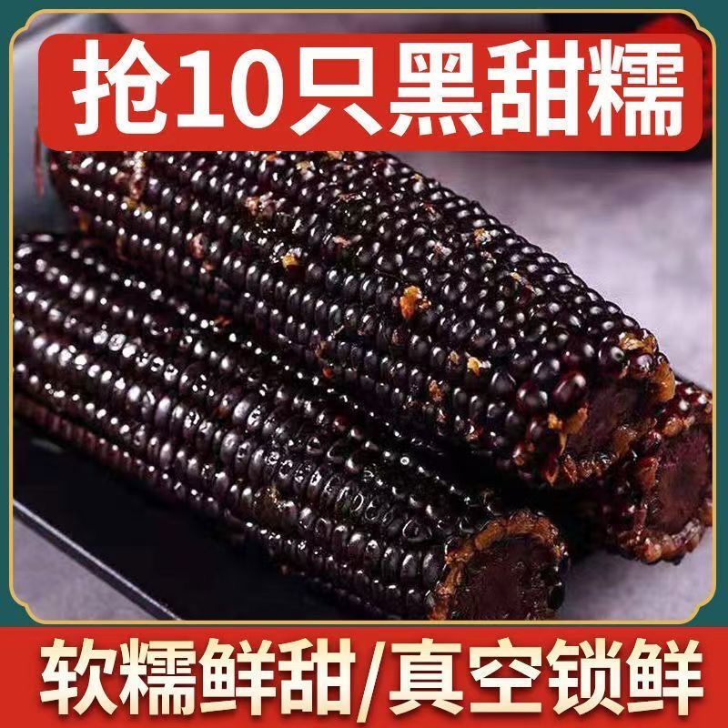 【试吃2根】东北黑糯玉米小棒10根整箱5-6斤香甜软糯JBC