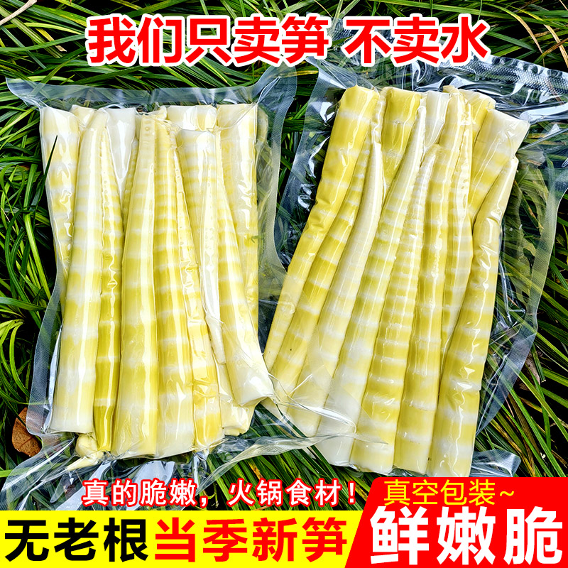 四川高山去壳新鲜竹笋嫩笋尖清水笋火锅笋脆嫩食材