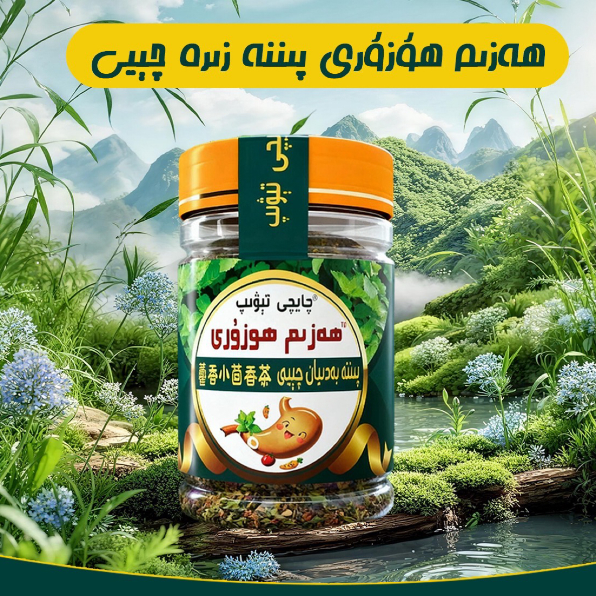 pinnabadiyanھەزىم چايلىقى和田代用茶藿香小茴香茶80克男女通用
