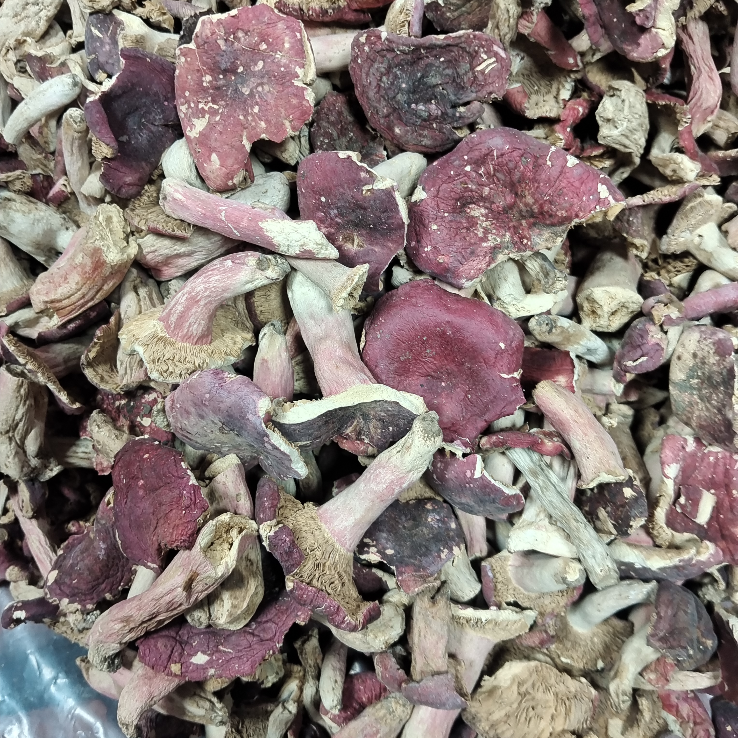 划算款断脚碎片河南红菇中挑出的碎菇已到店