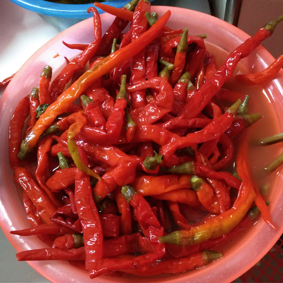 【菲儿代卖】农村乡里自制酸辣椒