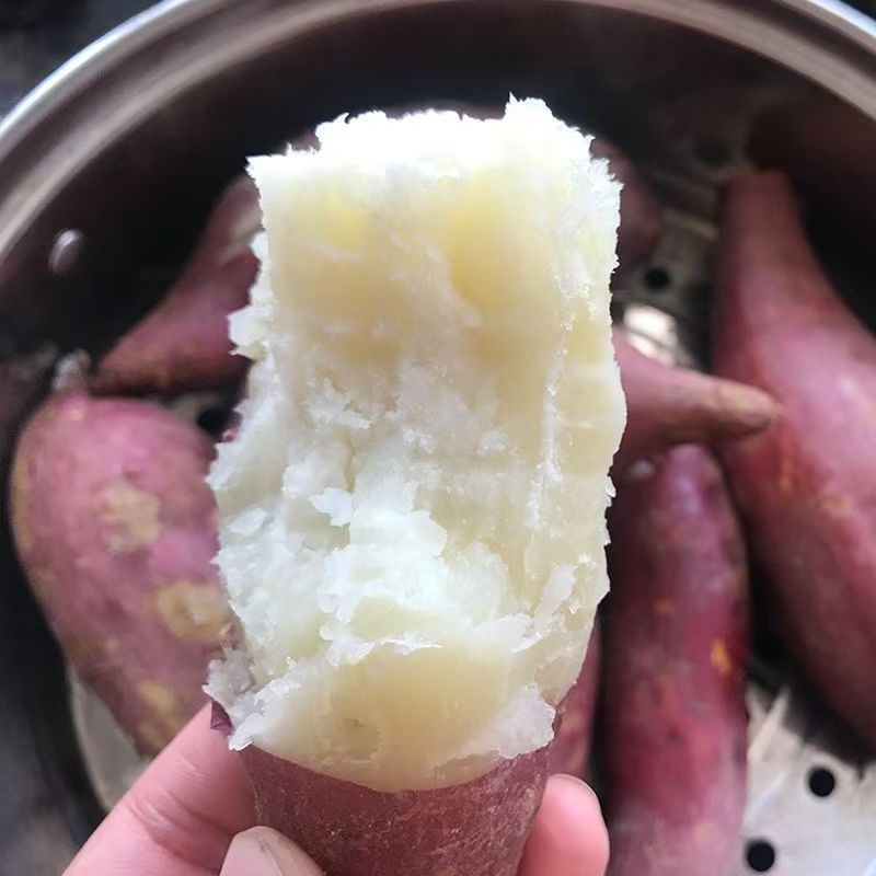 25年现挖新鲜干面粉糯白心红薯番薯烤地瓜白瓤山芋5斤9斤包邮