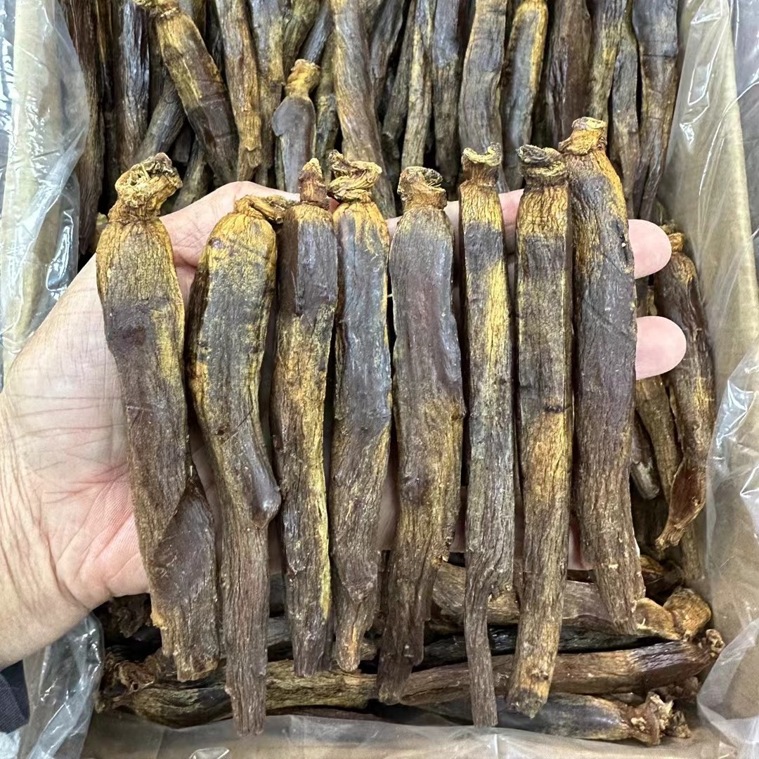 【参海】沉香 奇形高丽参  收藏精品