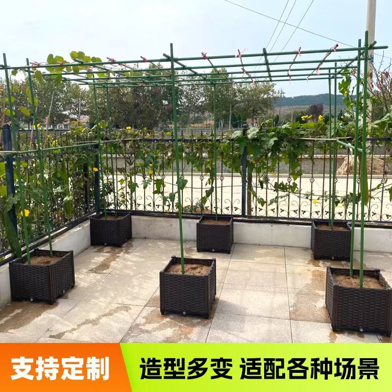 新疆葡萄架户外庭院楼顶搭棚天台棚架组装百香果苦瓜攀爬铁架阳台