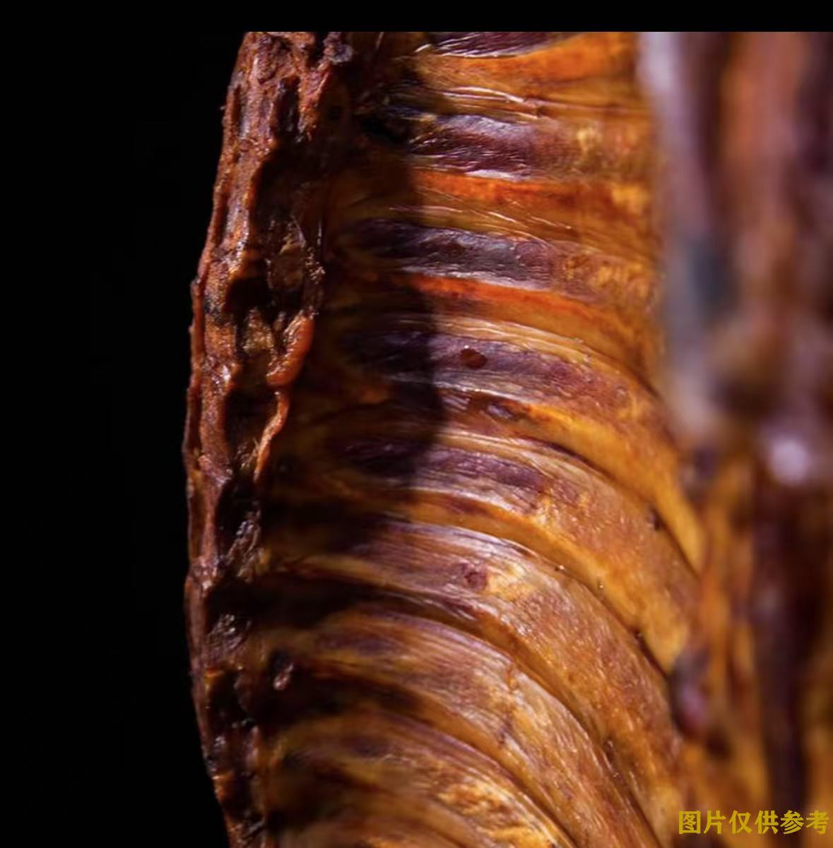 买2斤送1斤腊排骨