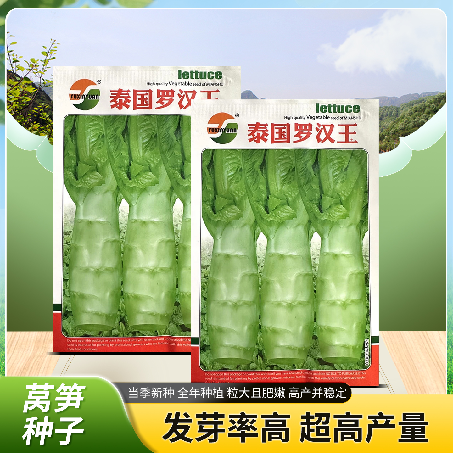 泰国罗汉蔬菜种籽耐热农家蔬菜圆叶竹节短粗鸡腿草莓种子芦蒿种子
