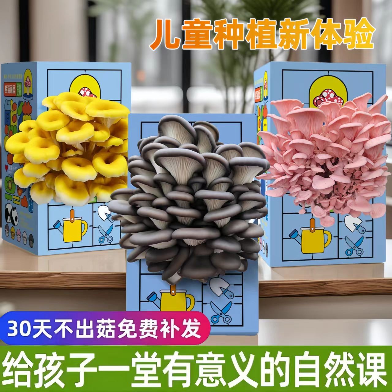 蘑菇种植菌包平菇蘑菇盒家庭室内种植蘑菇科学小实验儿童益智玩具