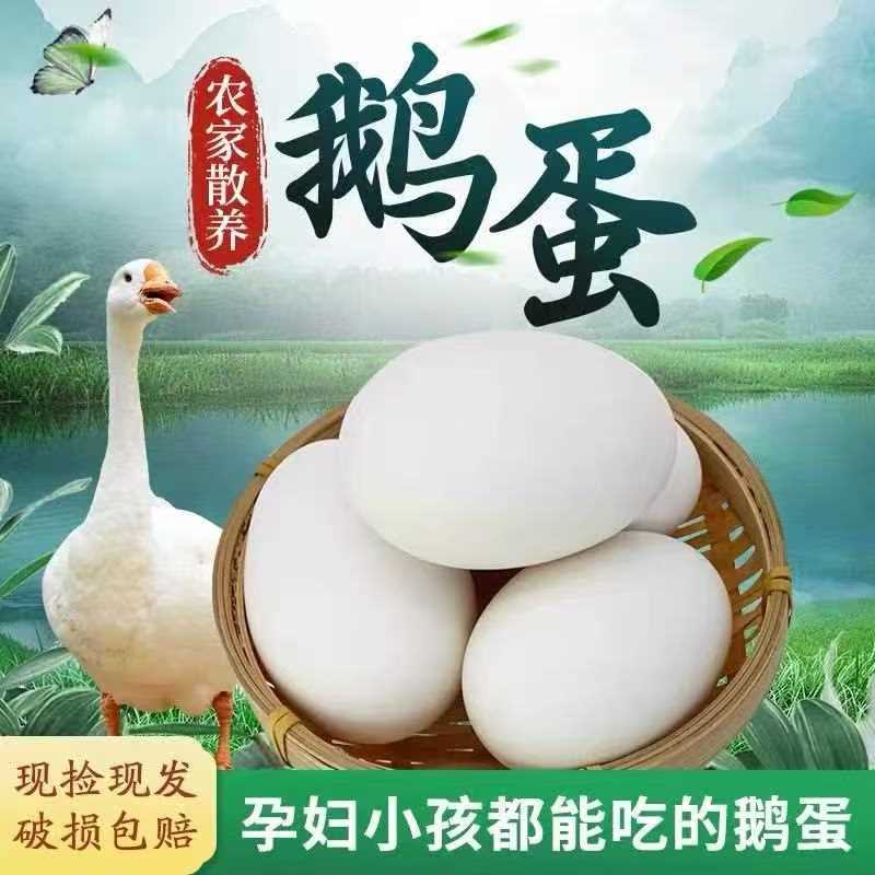 【破损包赔】20枚新鲜农家散养土鹅蛋粉壳蛋健康营养适合孕妇70-80g