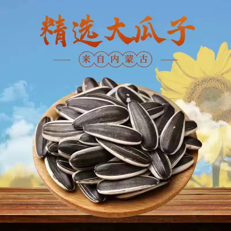 于俊岭种植内蒙古新货原味大颗粒葵花籽生熟可选老少皆宜嘎嘎香