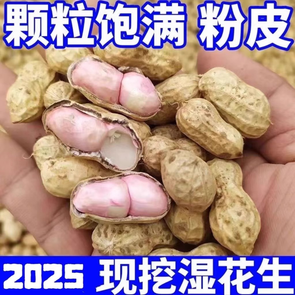 25年新鲜湿花生现挖湿花生带壳花生生吃农家新鲜可水煮沙土花生