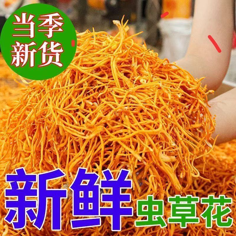 【到手二斤三斤】虫草花鲜货深山无添加剂原产地新鲜菌菇
