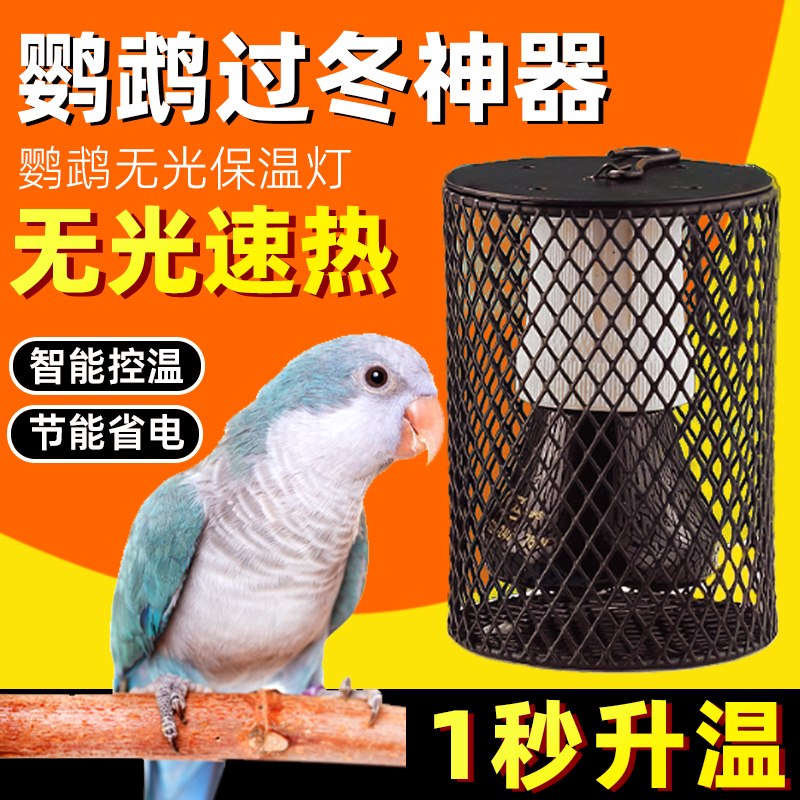 鹦鹉保温灯鹦鹉玄凤专用鸟笼保暖取暖器陶瓷防烫加热宠物过冬神器