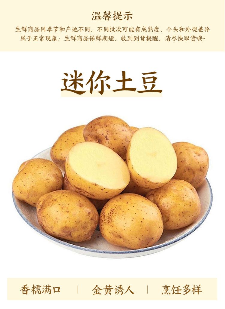网红湖南新鲜黄心小土豆3斤美味健康