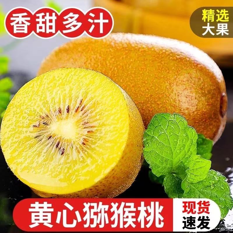 四川正宗黄心猕猴桃奇异果金果纯甜无酸新鲜水果产地直发