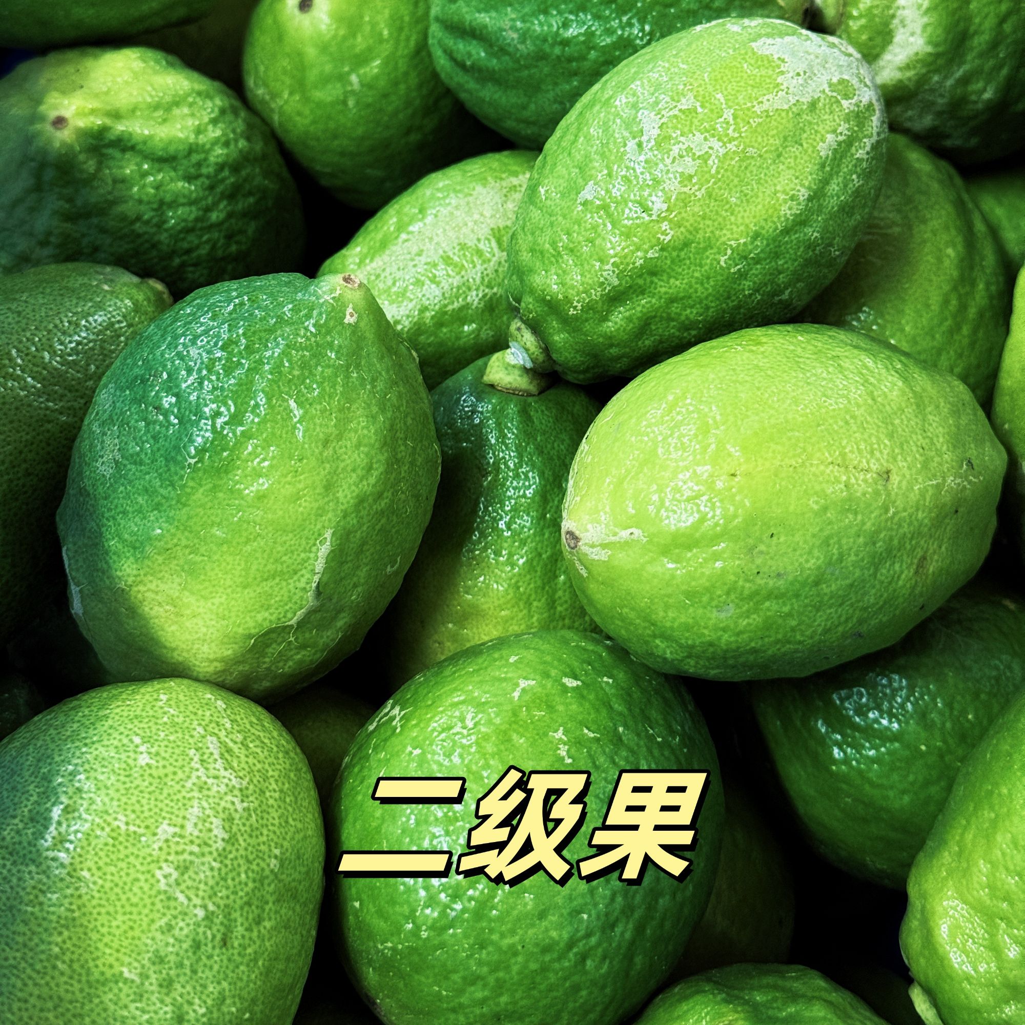 商用二级广东香水柠檬无籽香水柠檬手打柠檬茶奶茶店专用