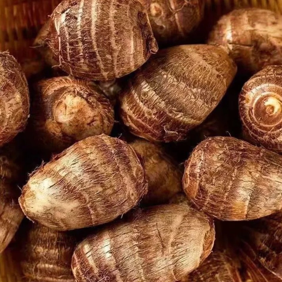 新鲜现挖牛奶小芋头香甜软糯产地农家自种蔬菜野生黄精