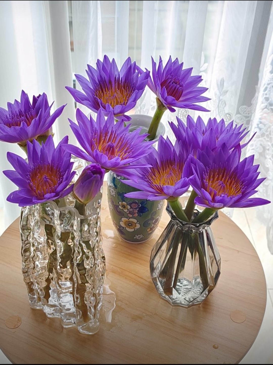 鲜花包邮10枝紫色睡莲鲜花带花苞发货广州睡莲鲜花基地直发