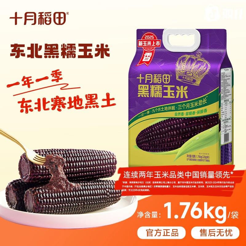 十月稻田 黑糯玉米棒东北黏苞米香甜黏糯粗粮轻食早餐食材