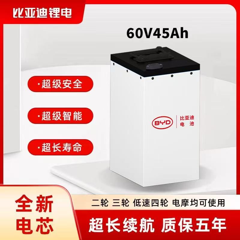 BYD/比亚迪比亚迪磷酸铁锂锂电池电车电瓶电动车64V45AH