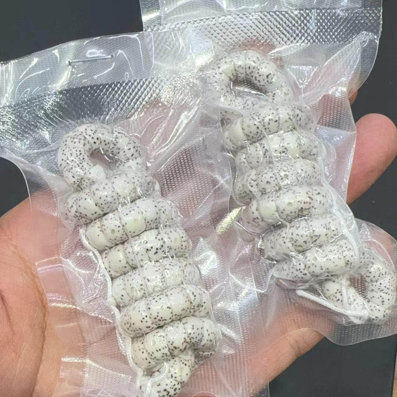 星月菩提大肠diy配件手工编织手绳项链文玩佛珠时尚配饰手串