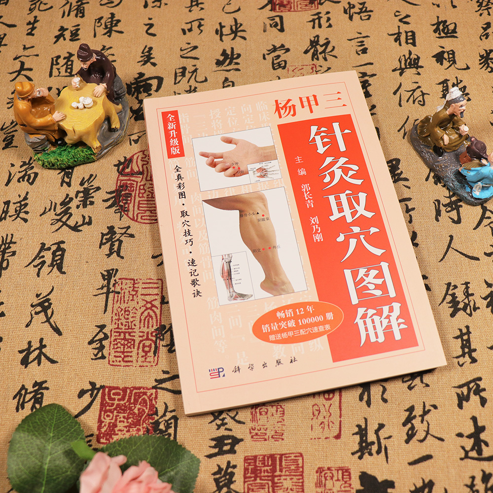 杨甲三针灸取穴图解书籍全彩速记歌诀技巧准取配穴速查表随身查