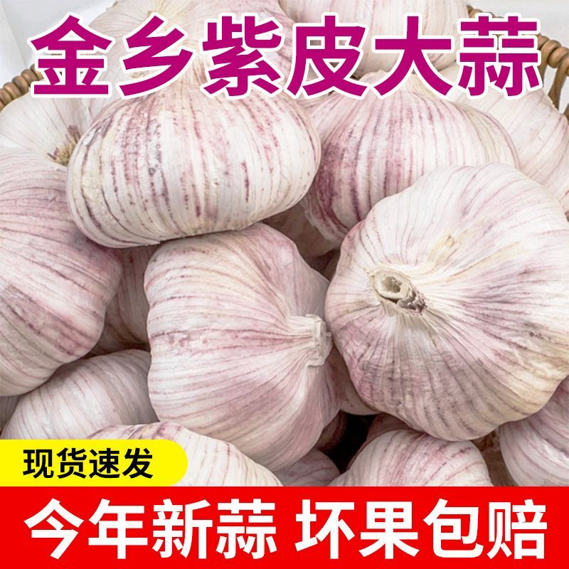 【25-30头】正宗山东紫白皮干大蒜家庭必备