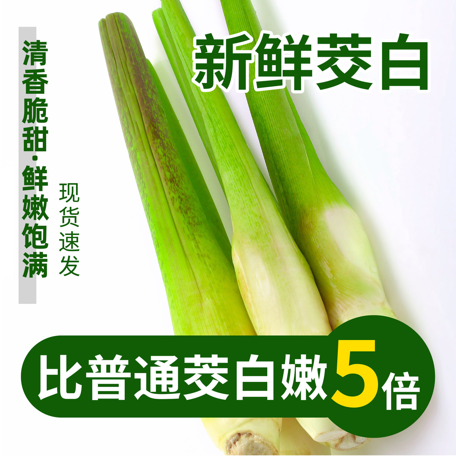 高山茭白冬笋火锅配菜鲜嫩蔬菜营养福建高笋产地直摘酒店家庭食材